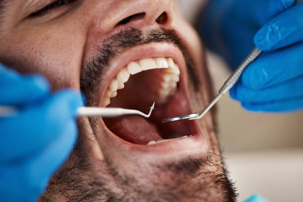 Best Emergency X-Rays and Diagnostics in North Potomac, MD
